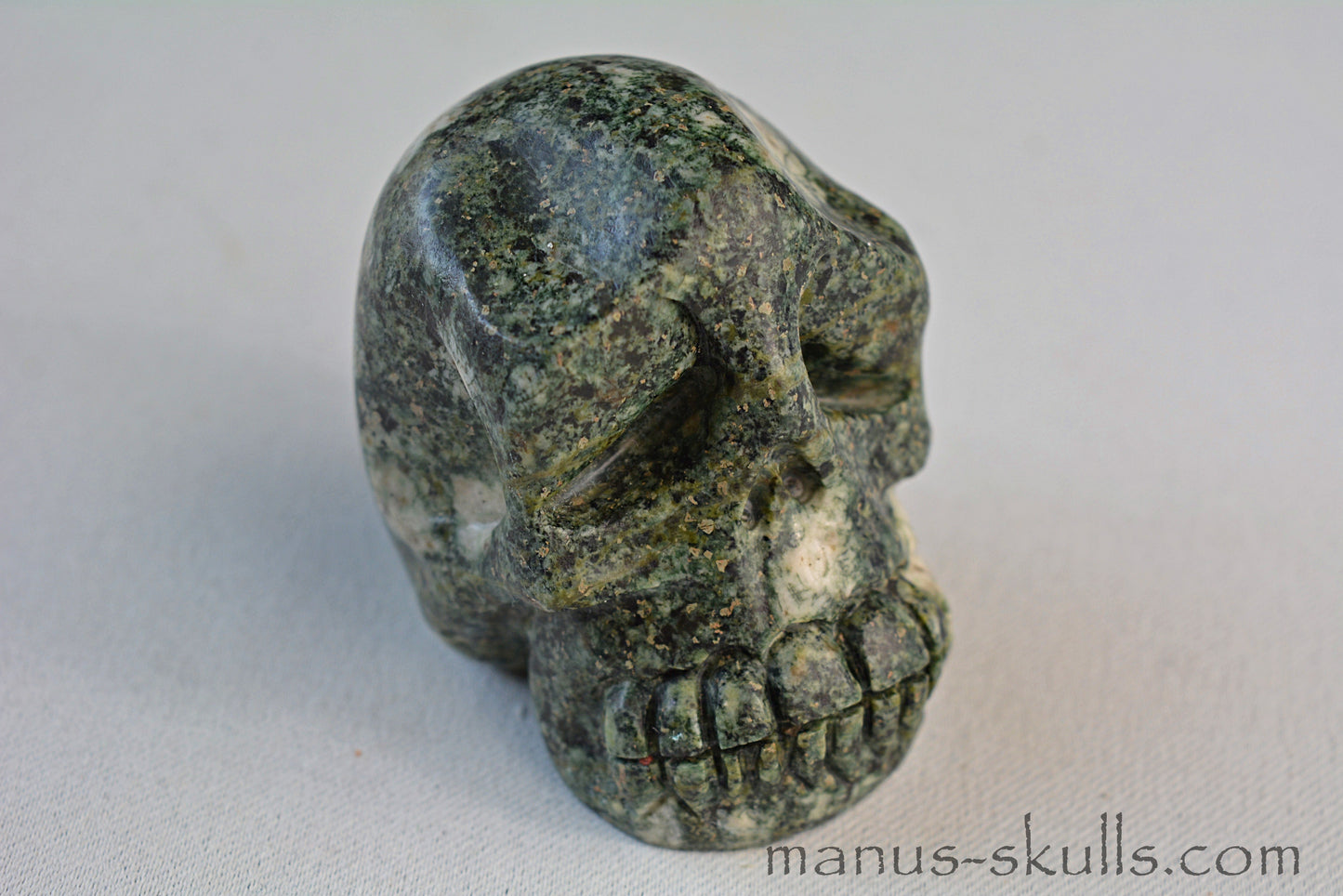 Preseli Bluestone Skull