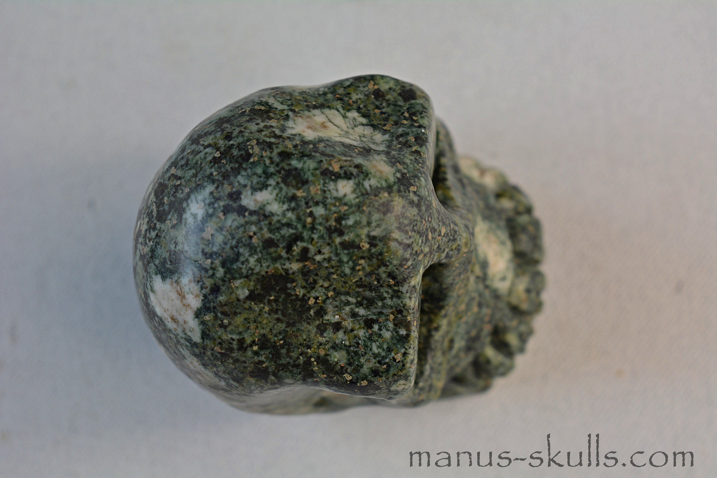 Preseli Bluestone Skull