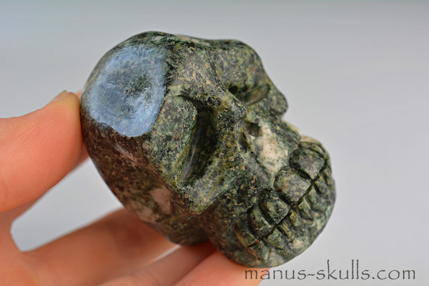 Preseli Bluestone Skull