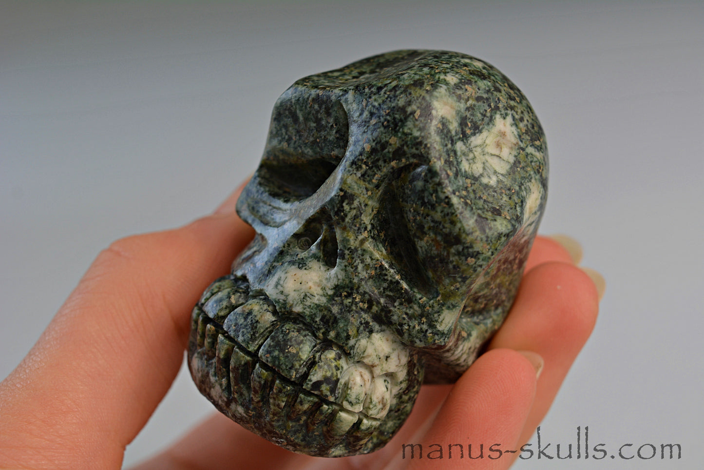 Preseli Bluestone Skull