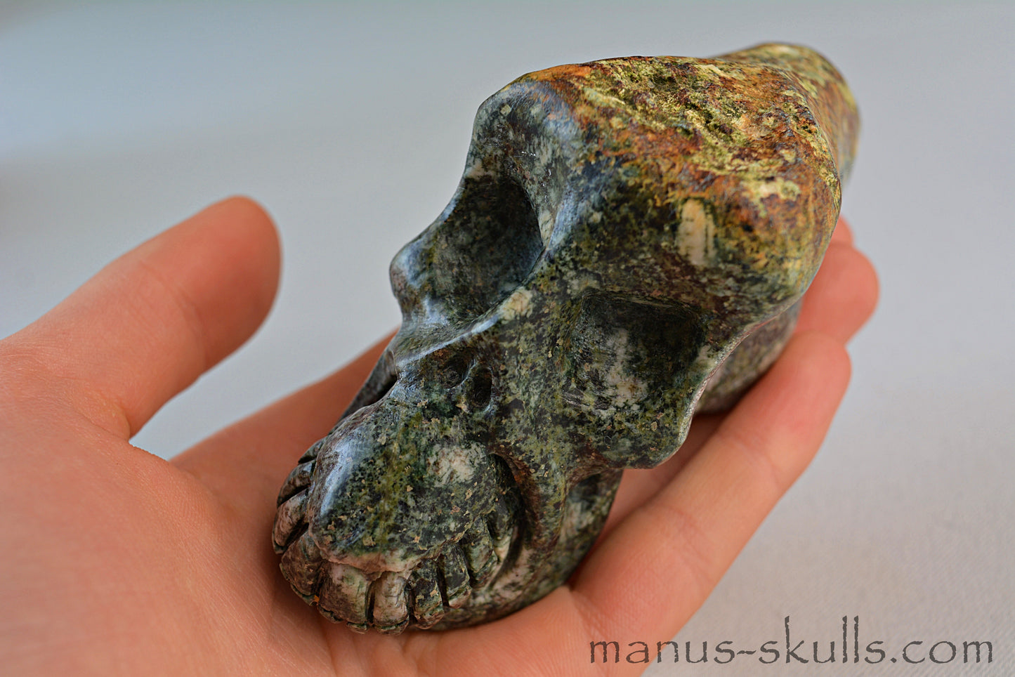 Preseli Bluestone Traveller Skull