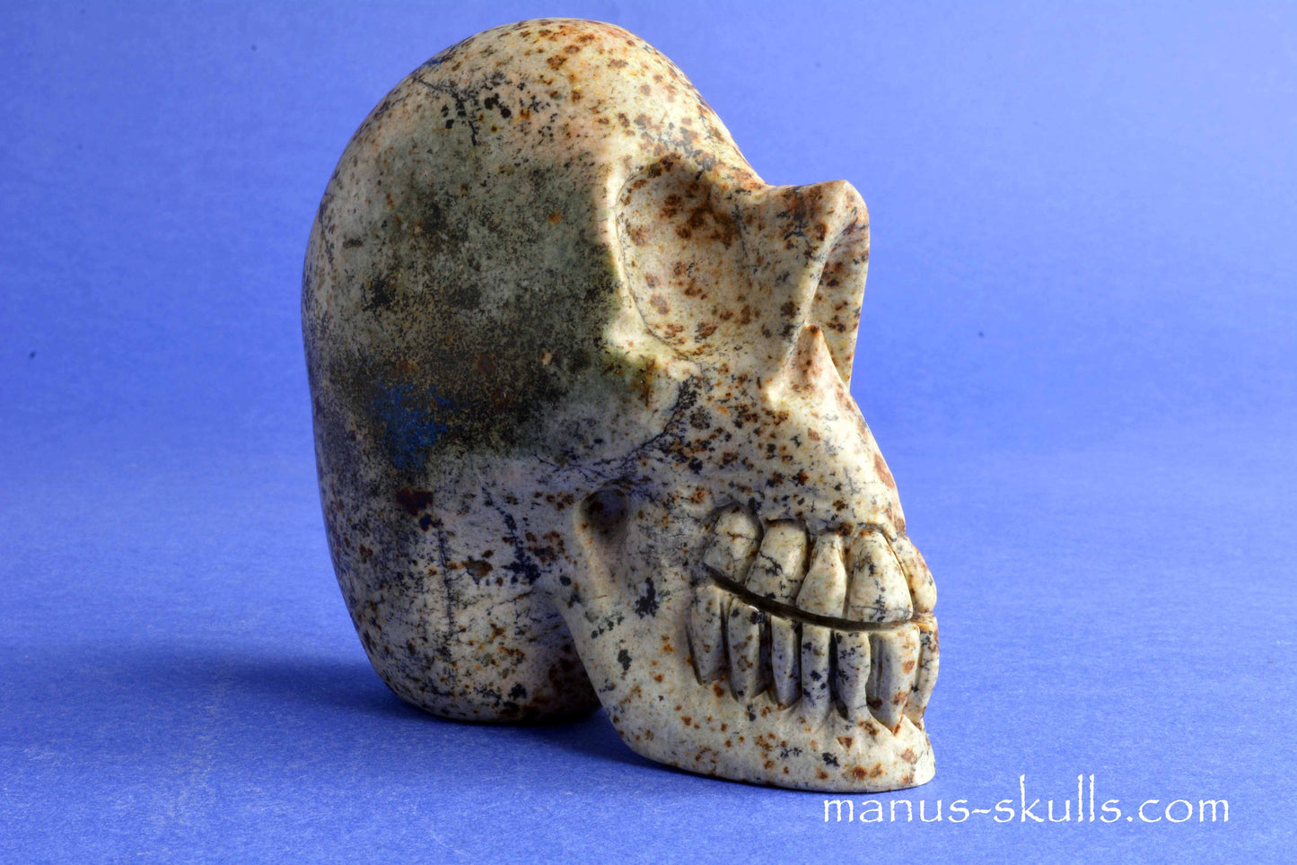 Eilat Stone Skull