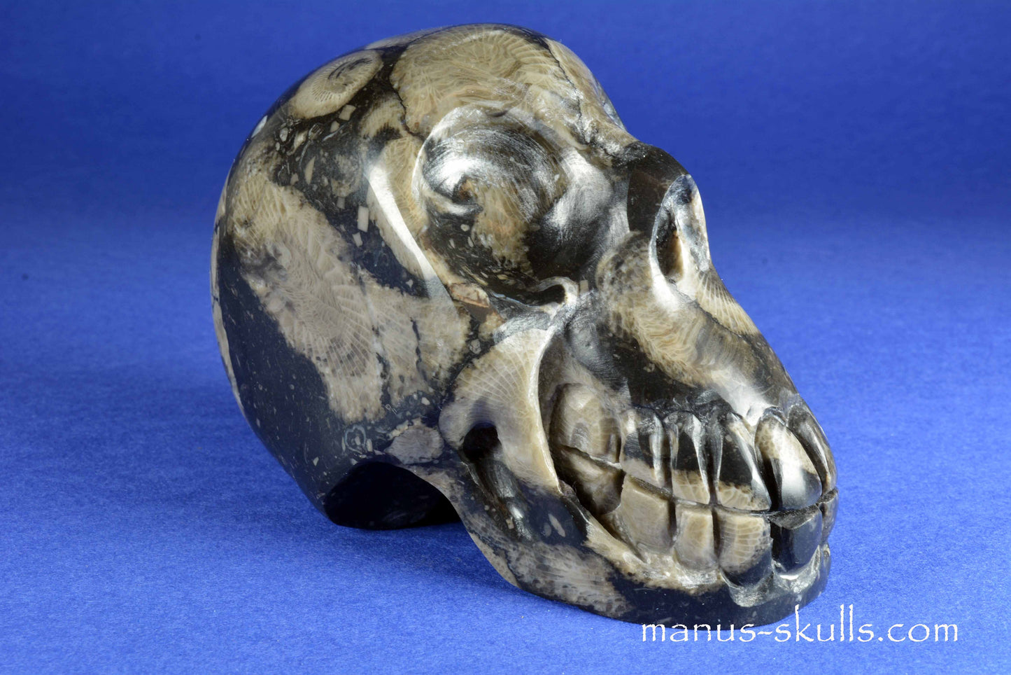 Frosterley Marble Skull