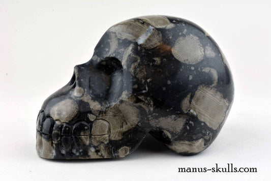 Frosterley Marble Skull