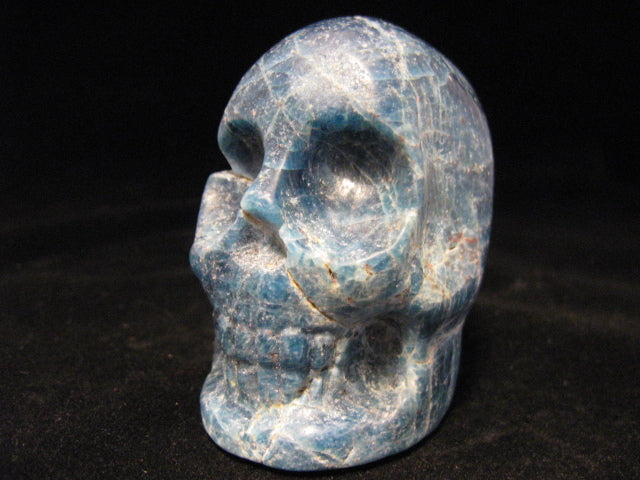 Apatite Skull