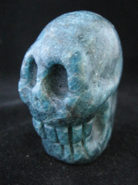 Apatite Skull
