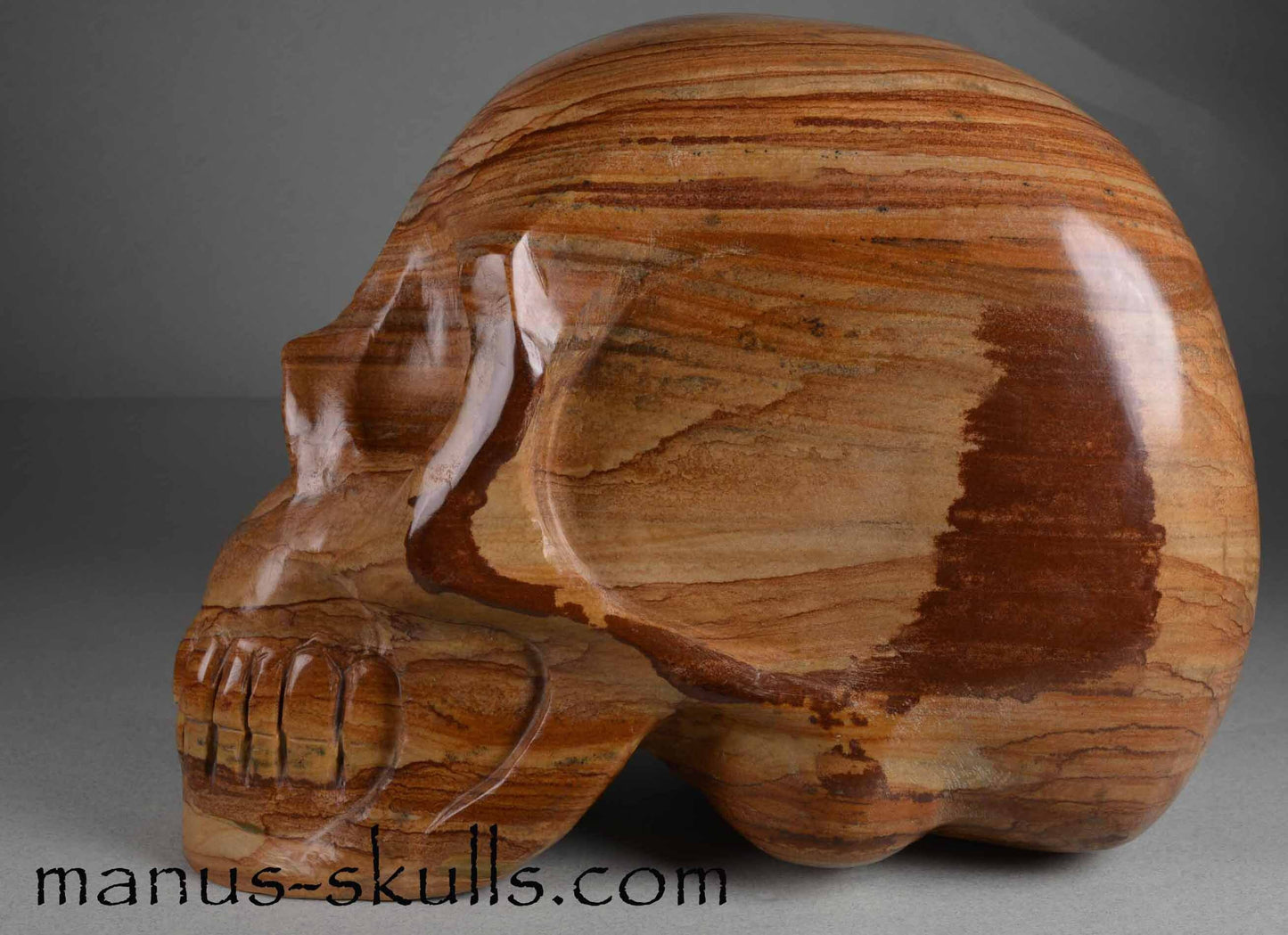 Landscape Jasper Skull