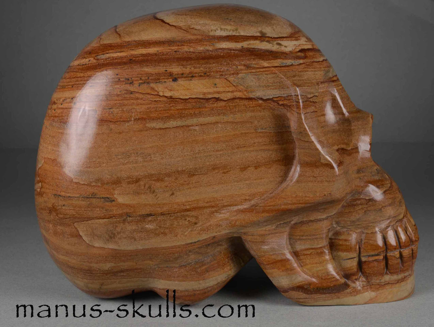 Landscape Jasper Skull