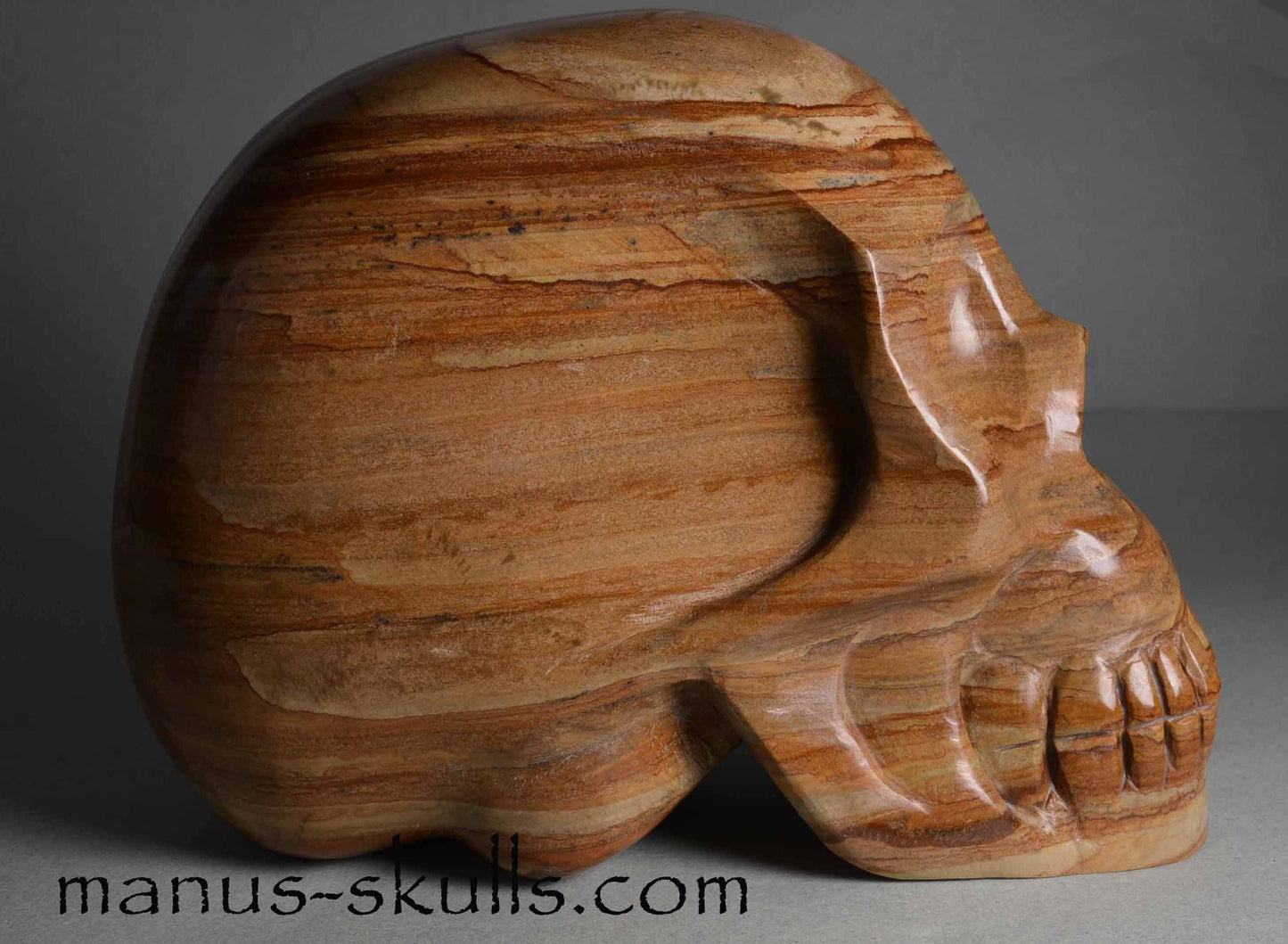 Landscape Jasper Skull