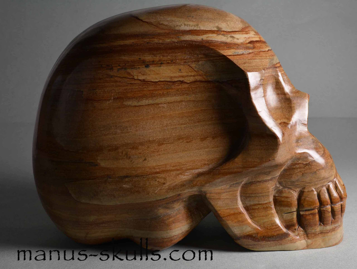 Landscape Jasper Skull