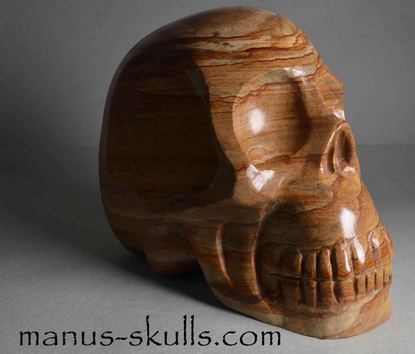 Landscape Jasper Skull