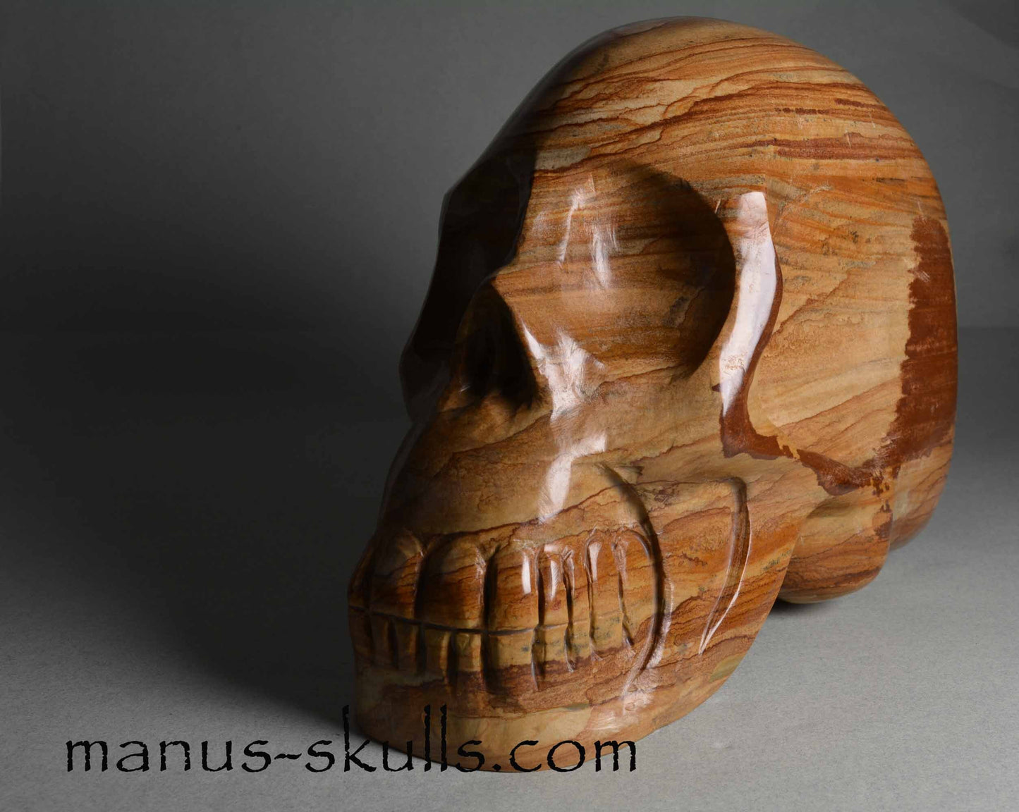 Landscape Jasper Skull