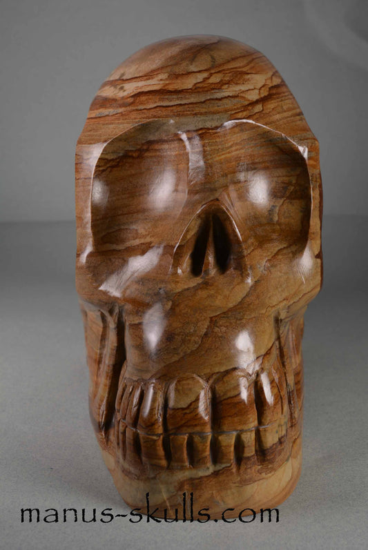 Landscape Jasper Skull