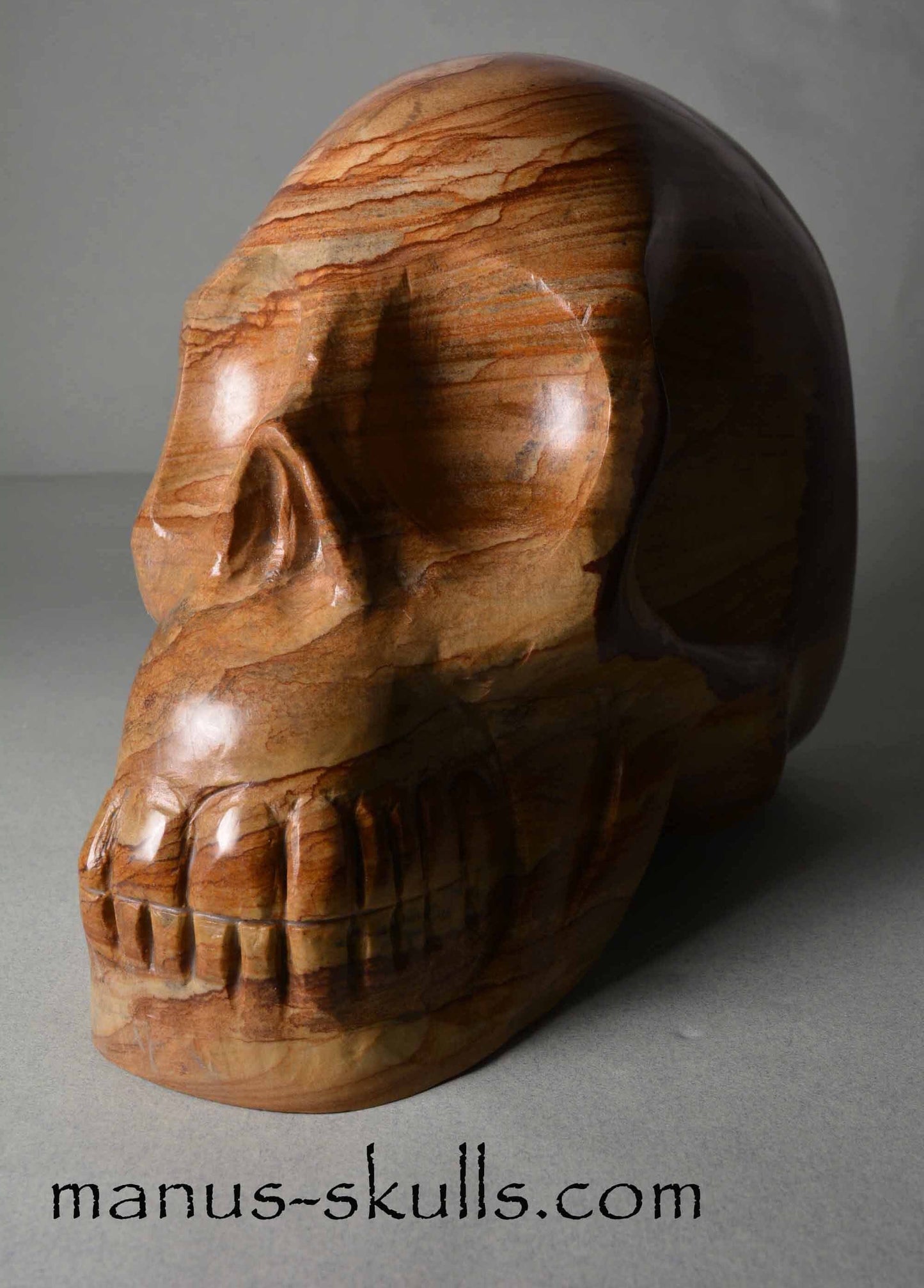 Landscape Jasper Skull