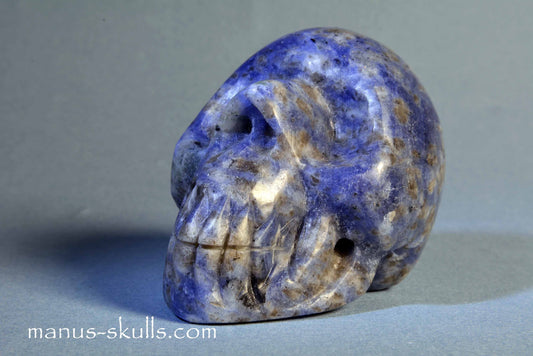 Lapiz Lazuli Skull