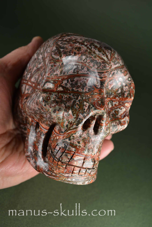 Leopard Skin Jasper  Skull
