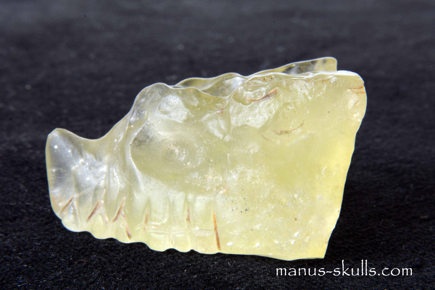 Libyan Desert Glass Dragon