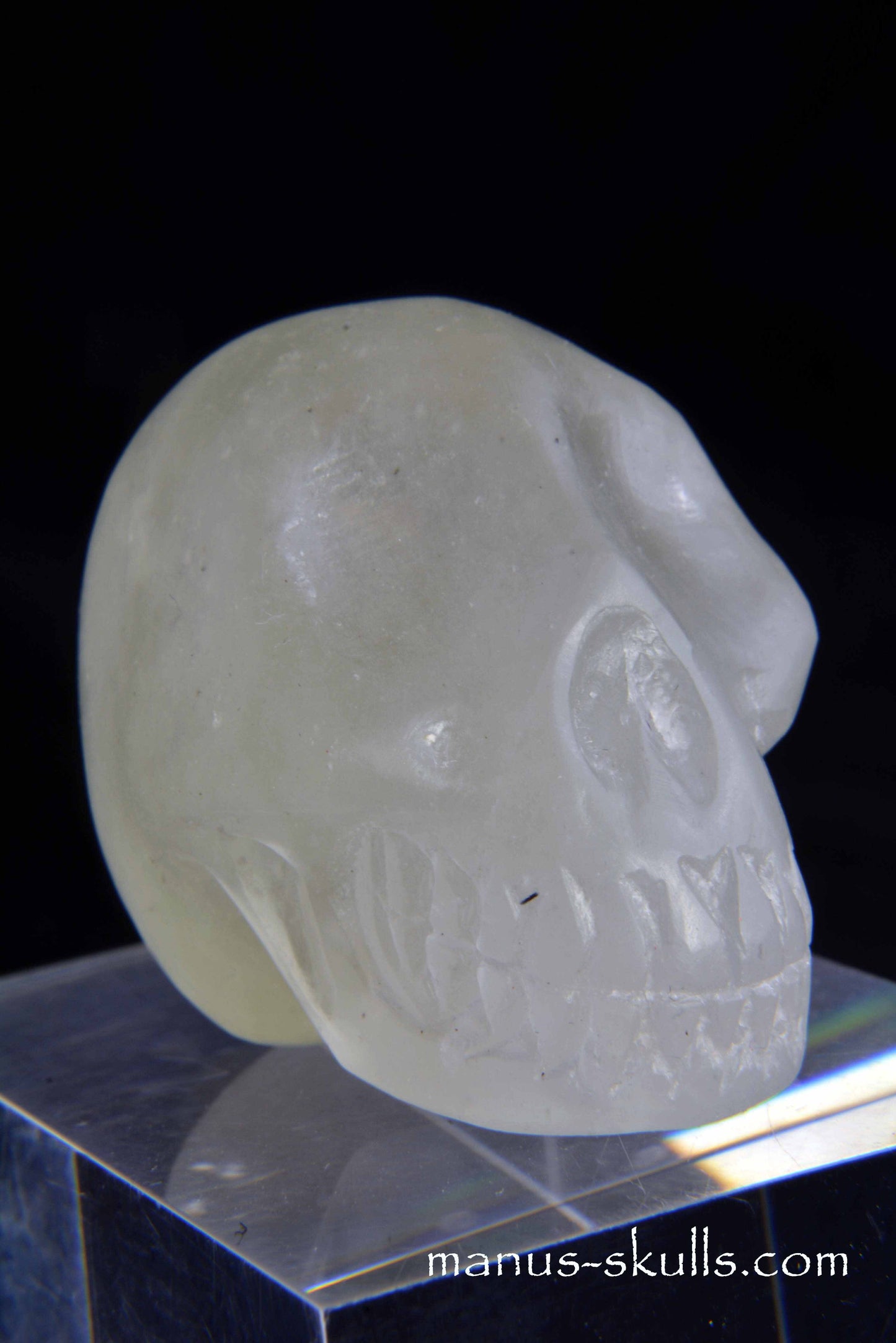 Libyan Desert Glass Skull