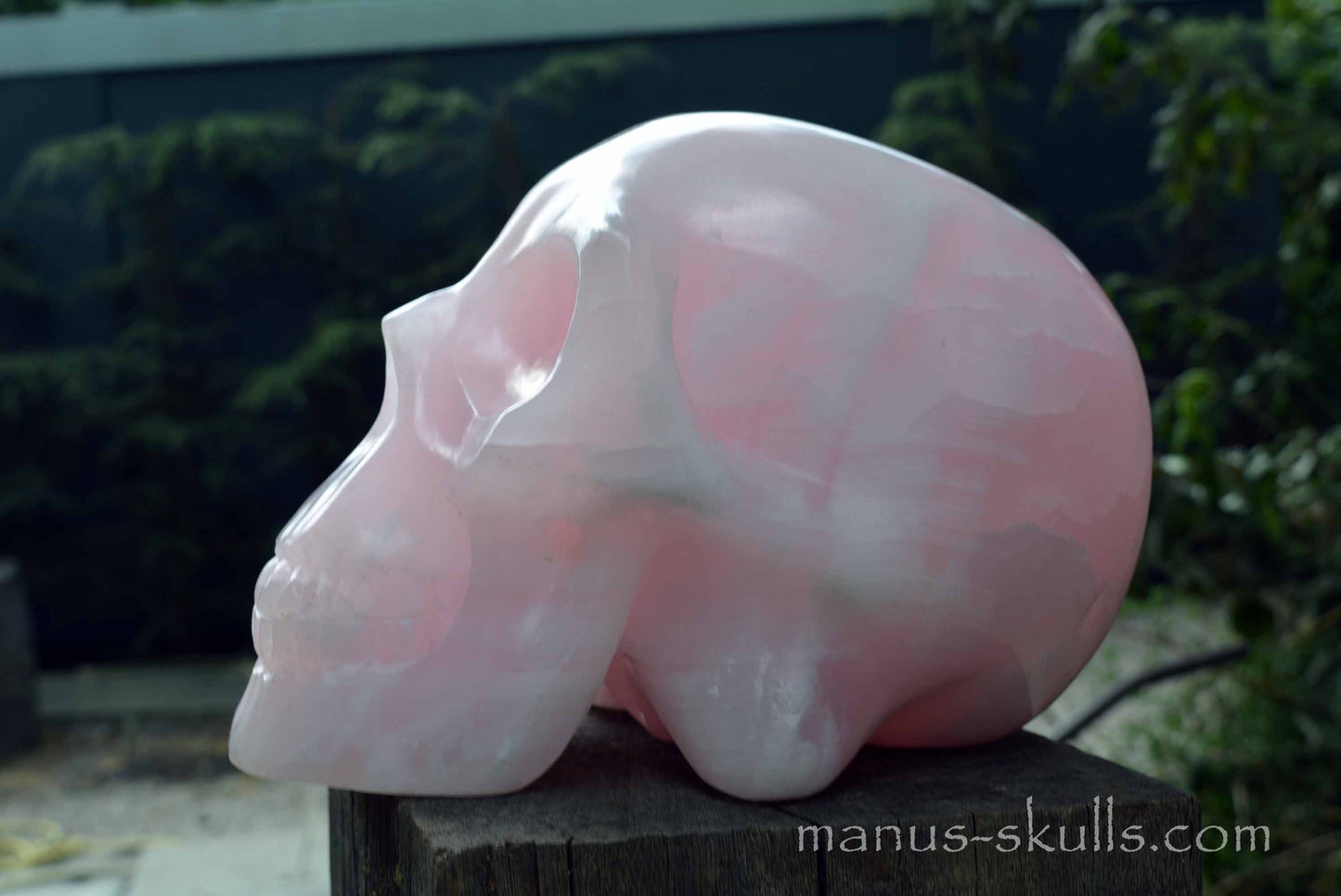Mangano Calcite Skull