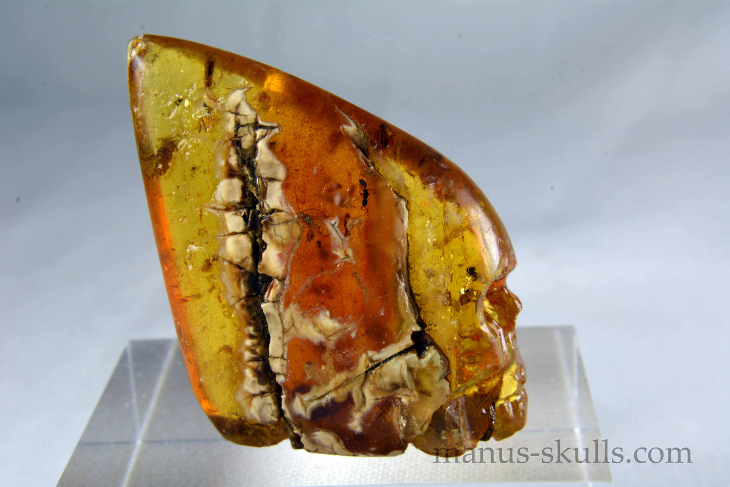 Amber Skull