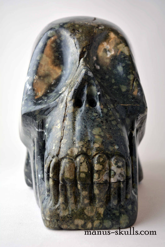 Lakelandite Skull