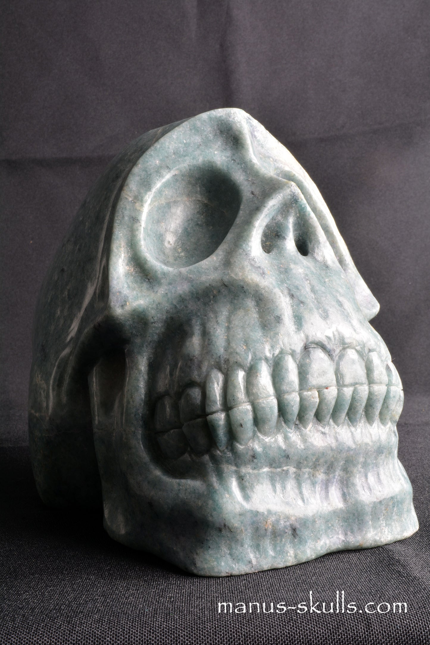 Trolleïte Conehead Skull