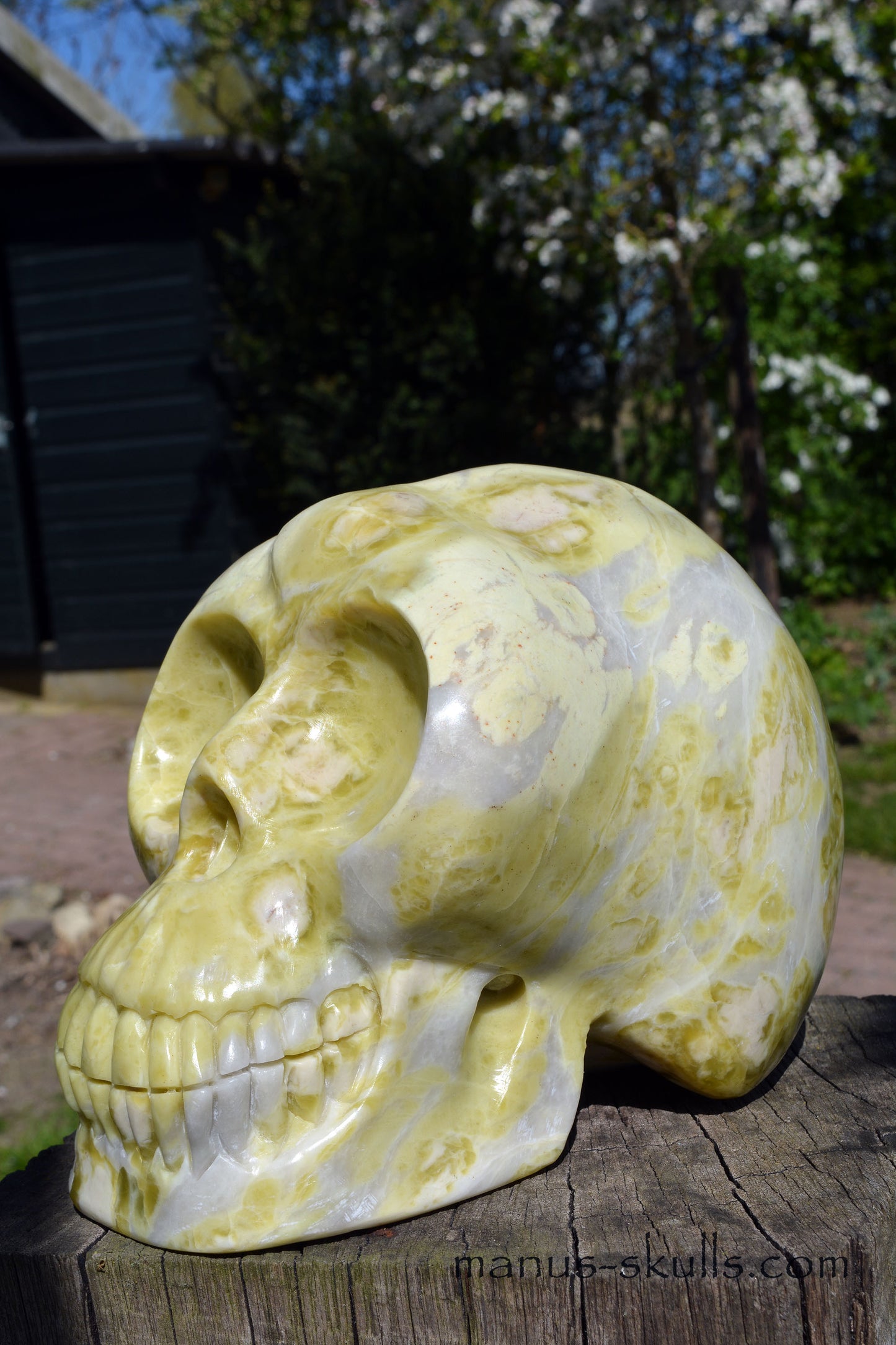 Connemara Marble Skull