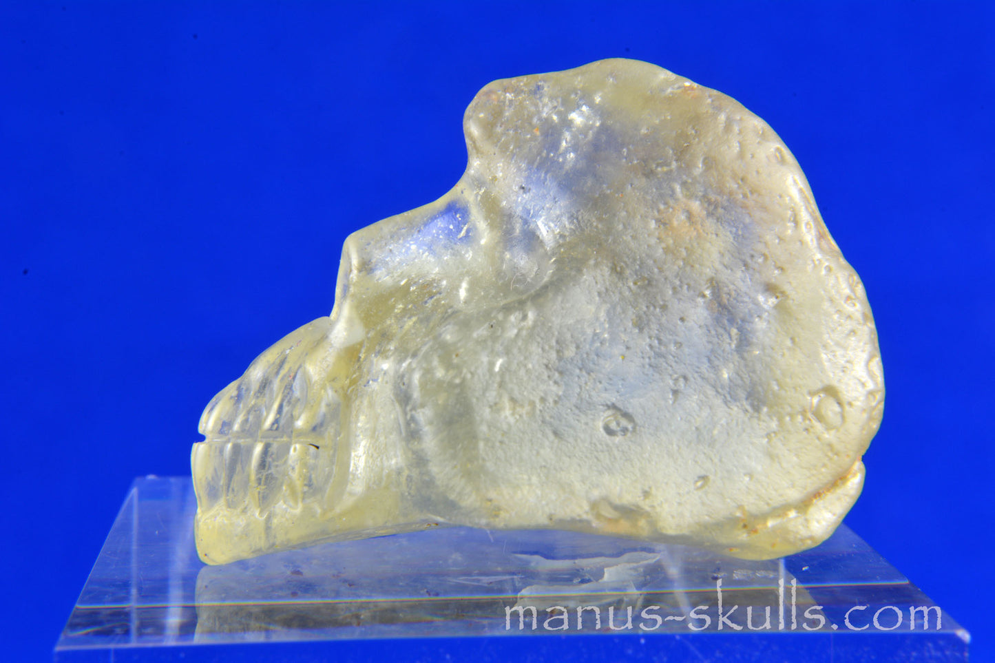Libyan Desert Glas Skull