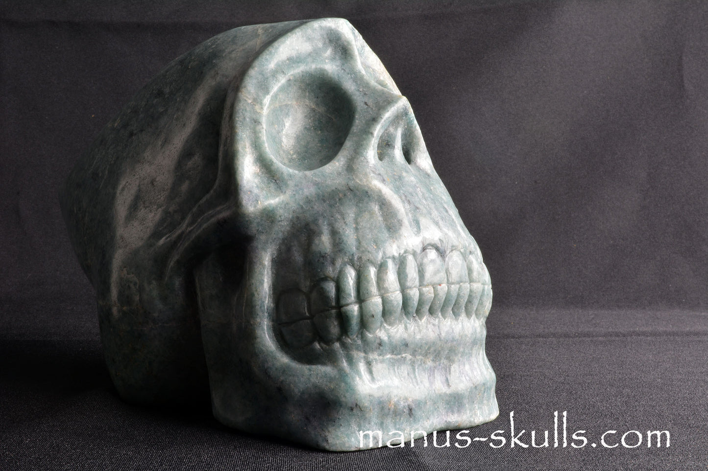 Trolleïte Conehead Skull