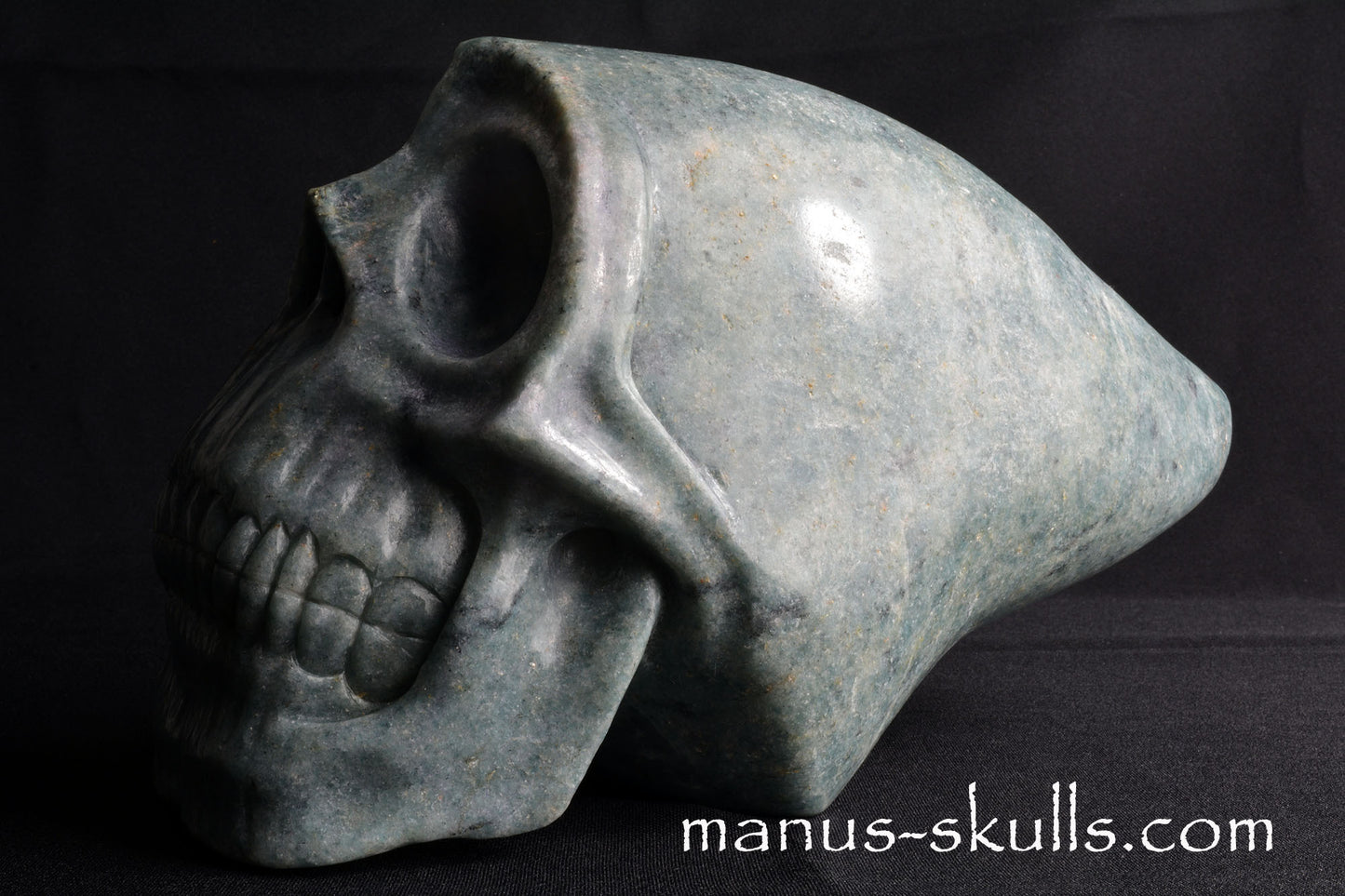 Trolleïte Conehead Skull
