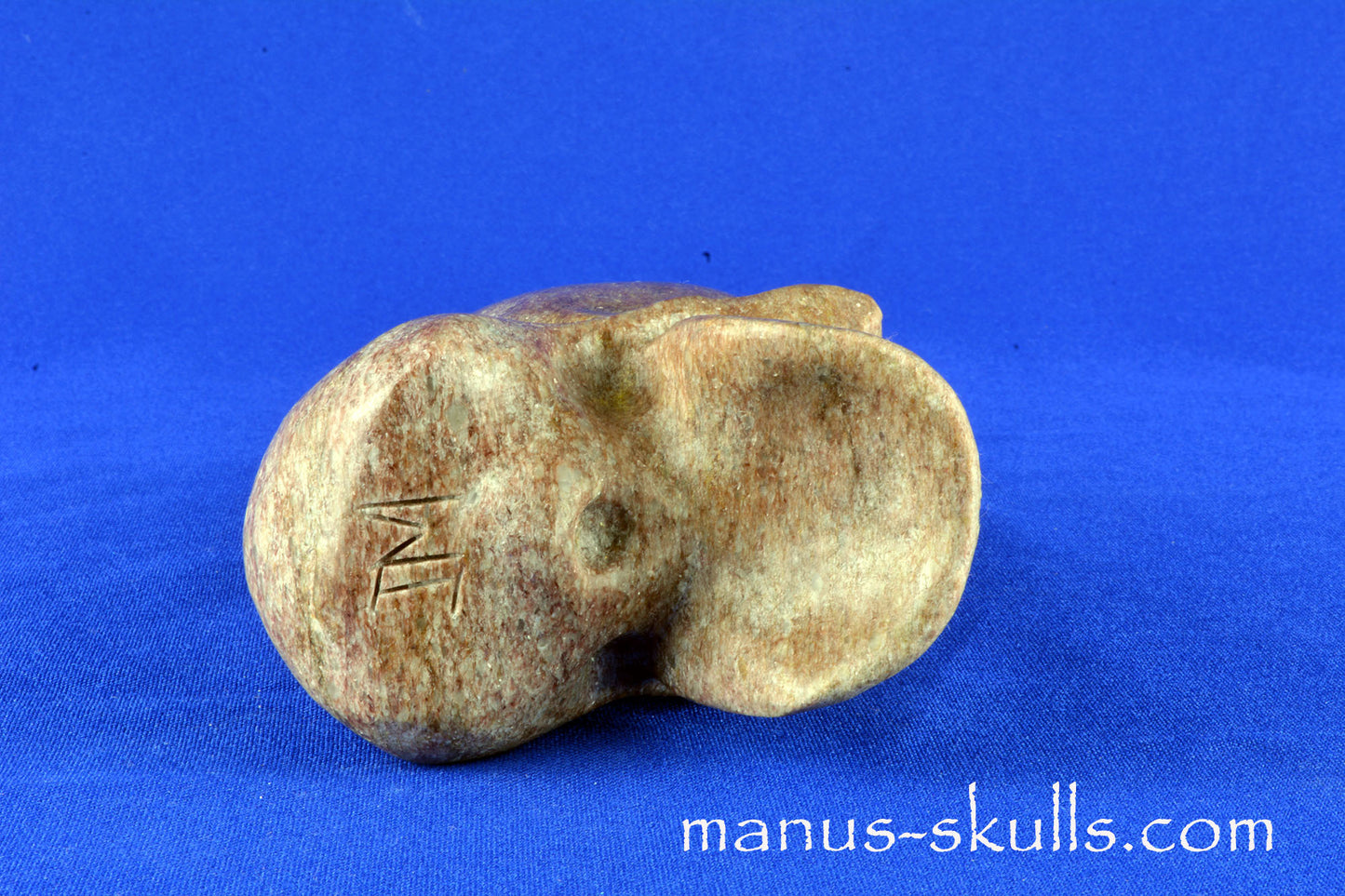 Alurgite Conehead Skull