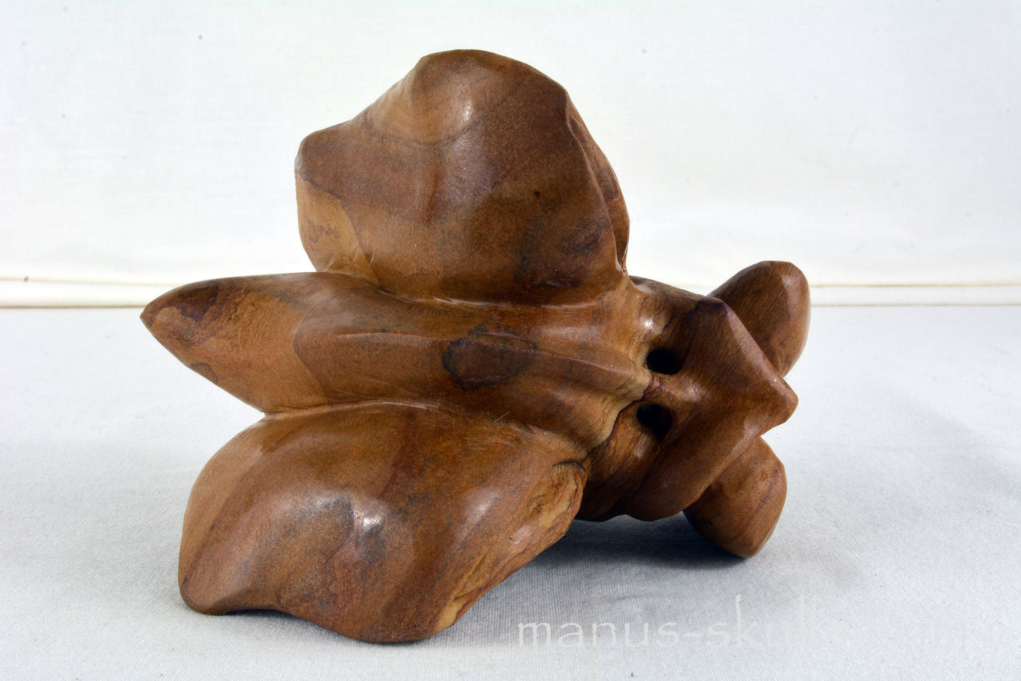 Landscape Jasper Dragon