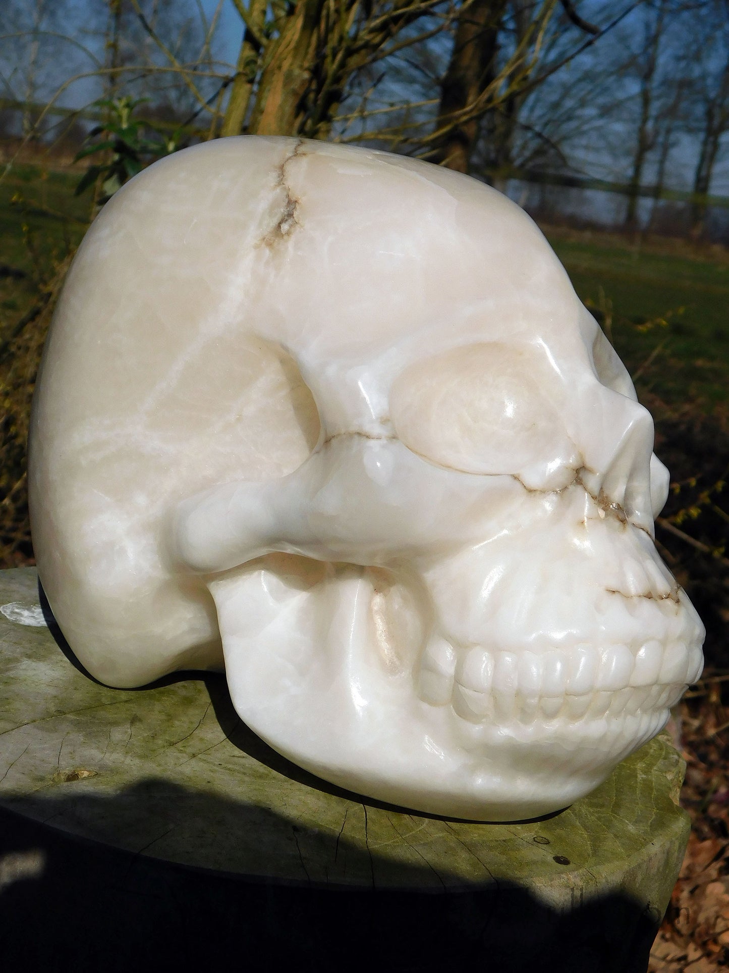 Alabaster Skull