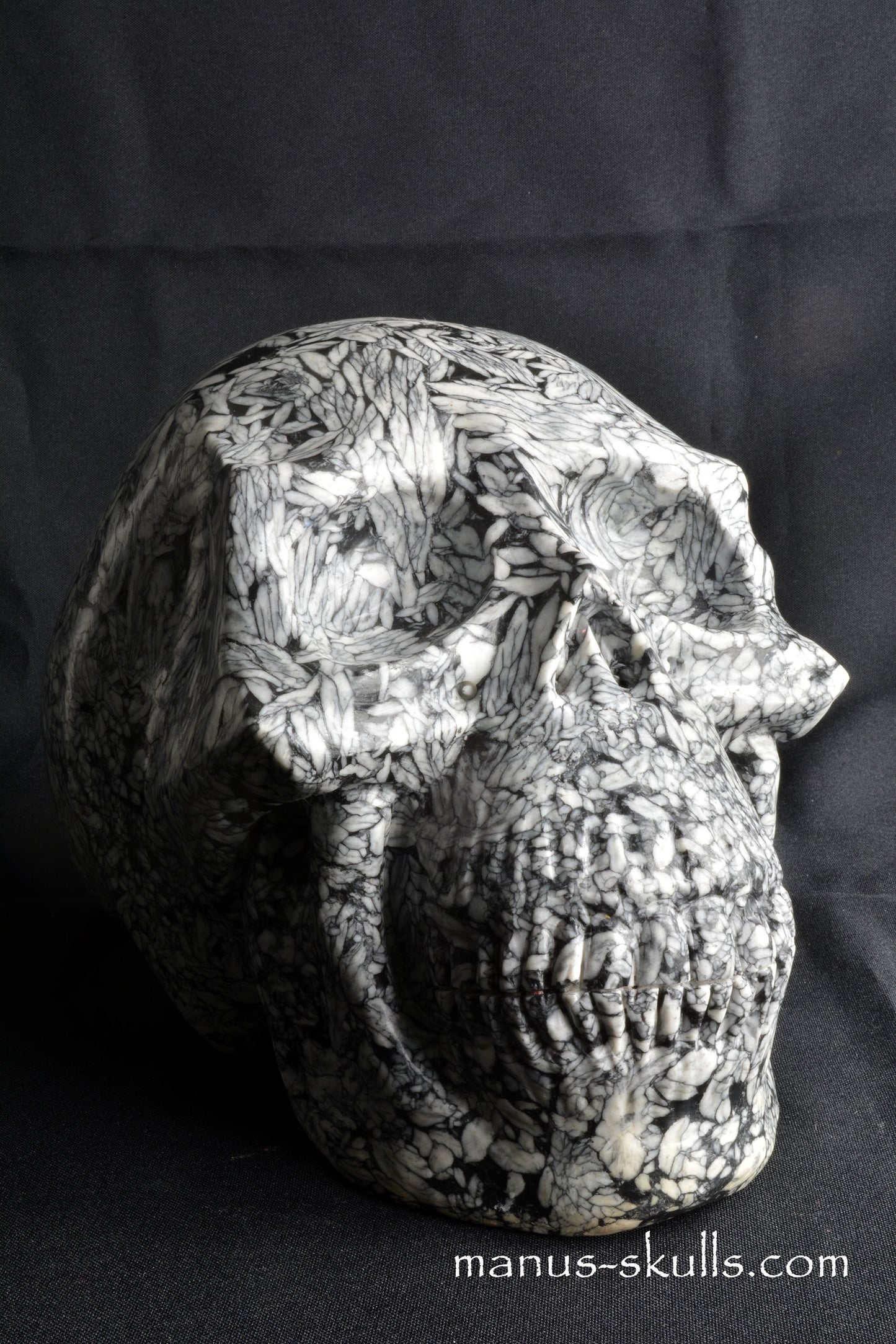 Pinolith Skull