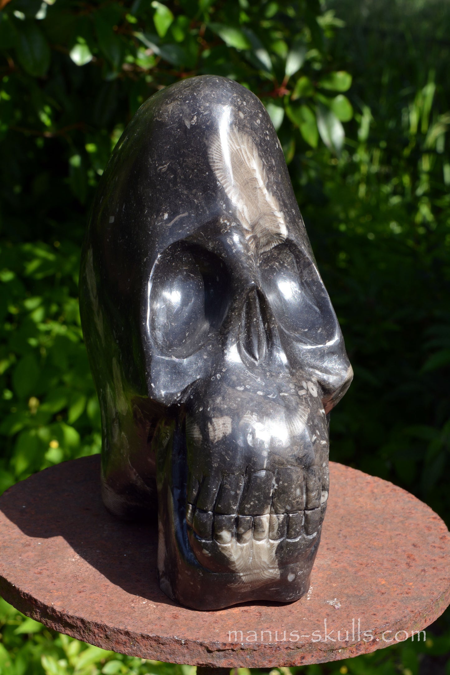 Frosterley Marble Conehead Skull