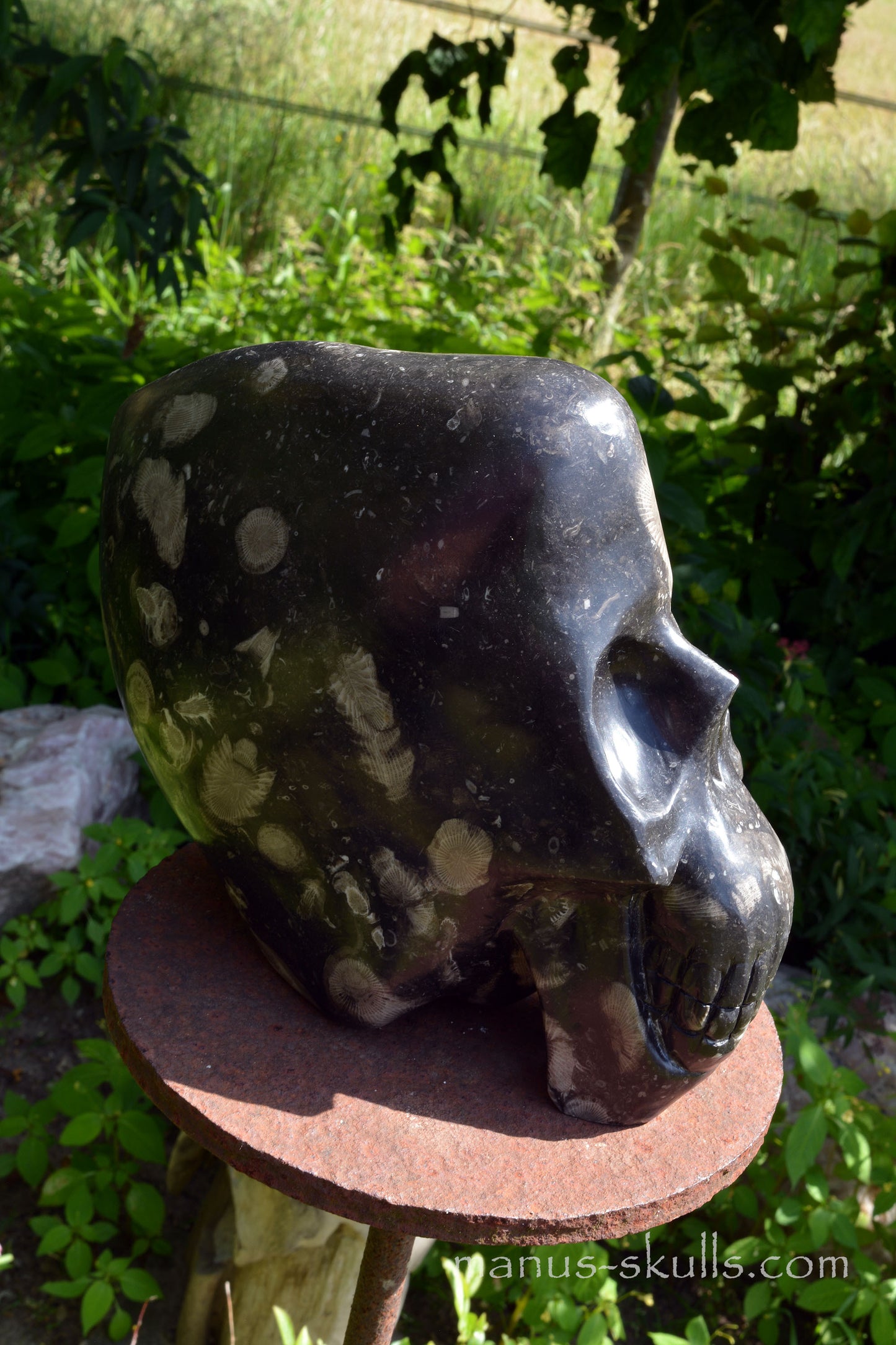 Frosterley Marble Conehead Skull