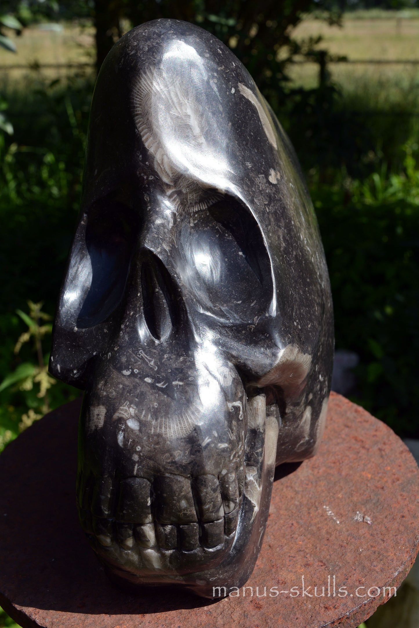 Frosterley Marble Conehead Skull