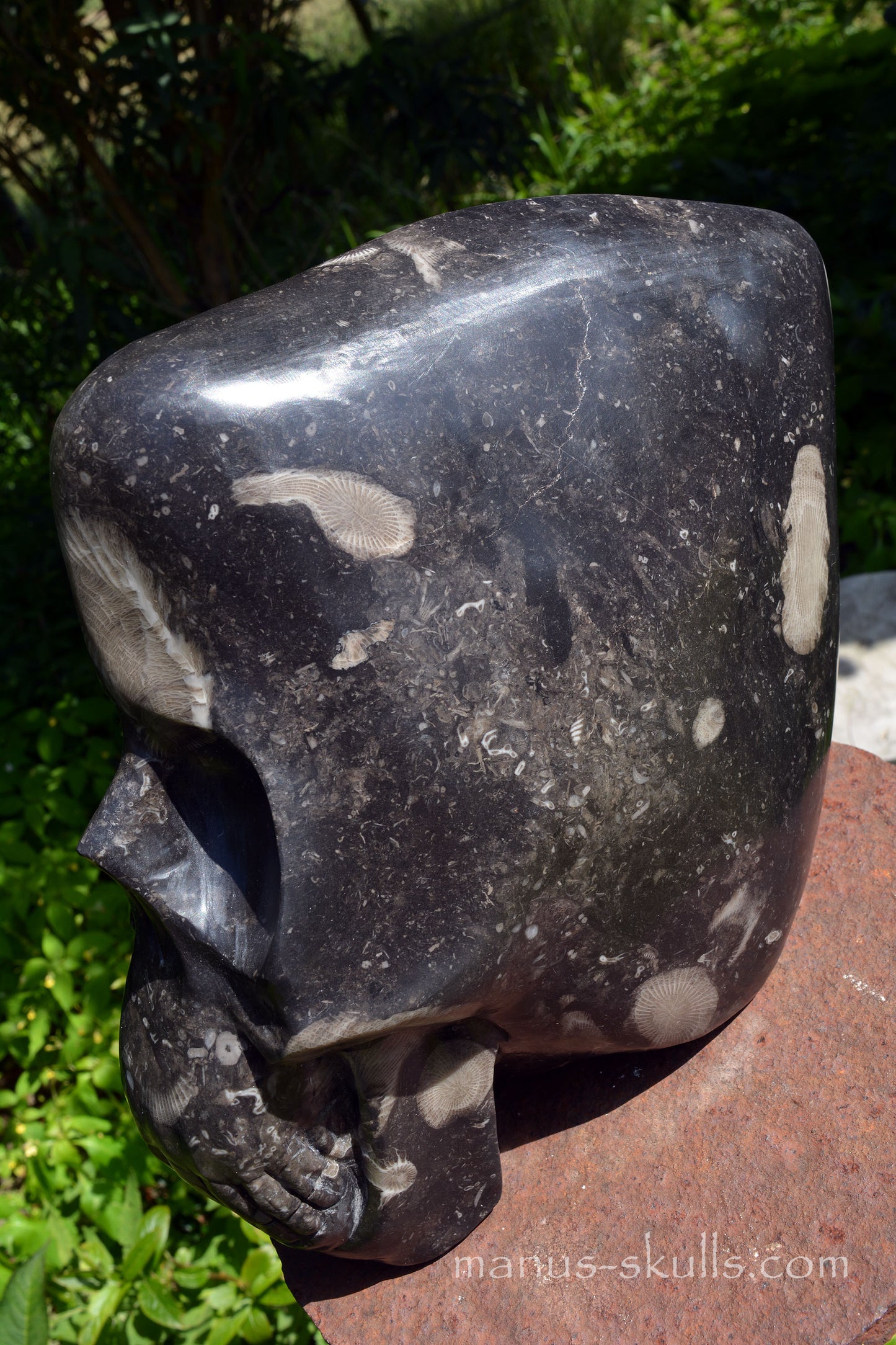 Frosterley Marble Conehead Skull