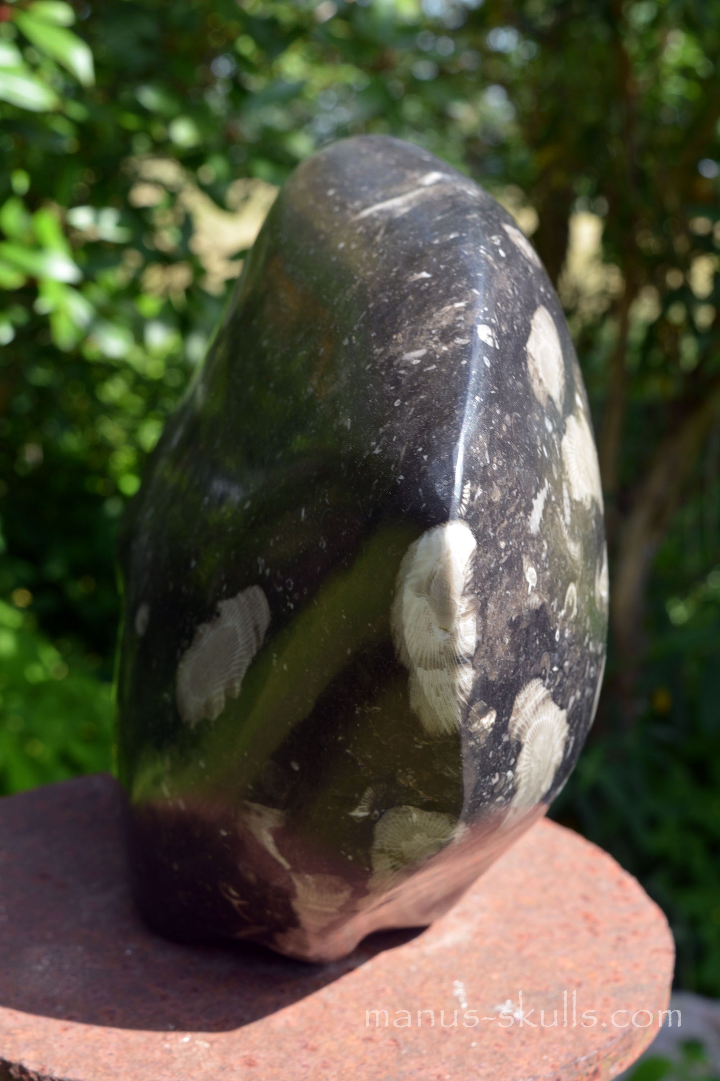 Frosterley Marble Conehead Skull