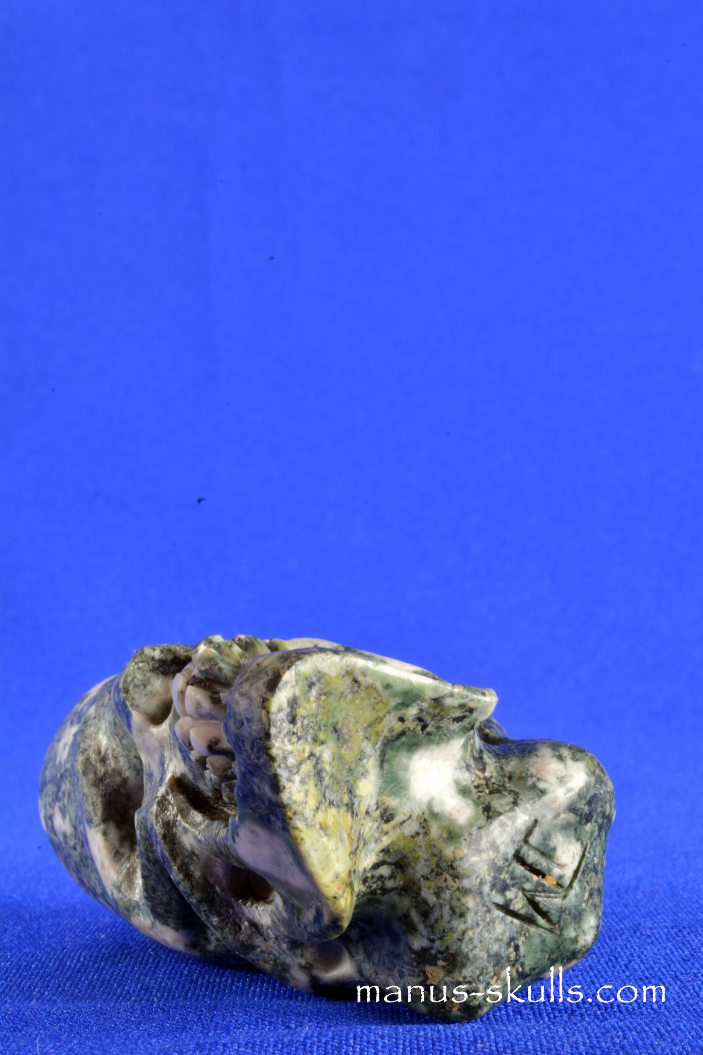 Preseli Bluestone Conehead Skull