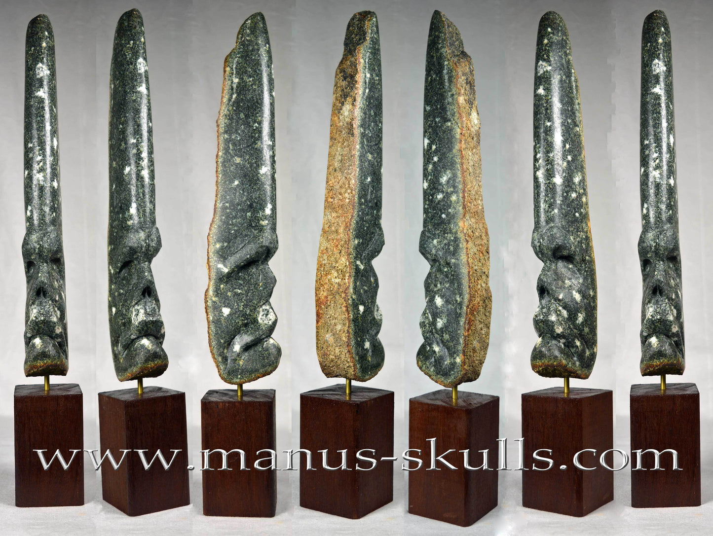 Preseli Bluestone Skull