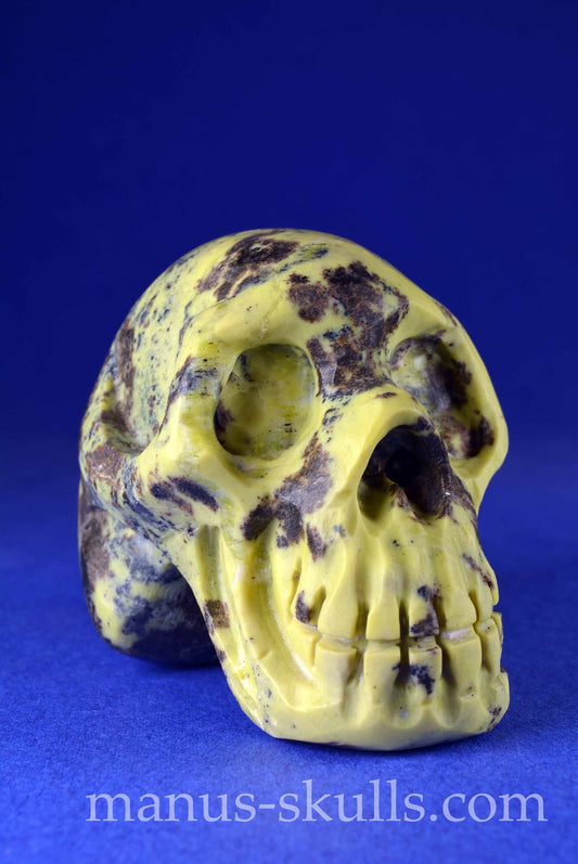 Jade Serpentine Skull