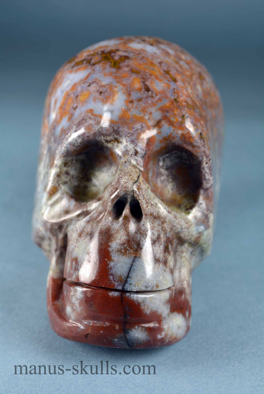 Ocean Jasper Skull