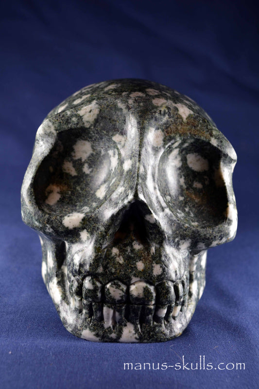 Preseli Bluestone Skull