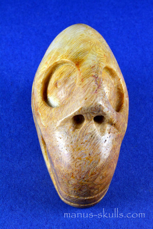 Petrified Coral Skull