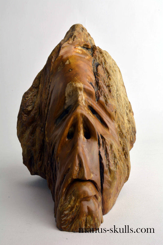 Petrified Wood Skull