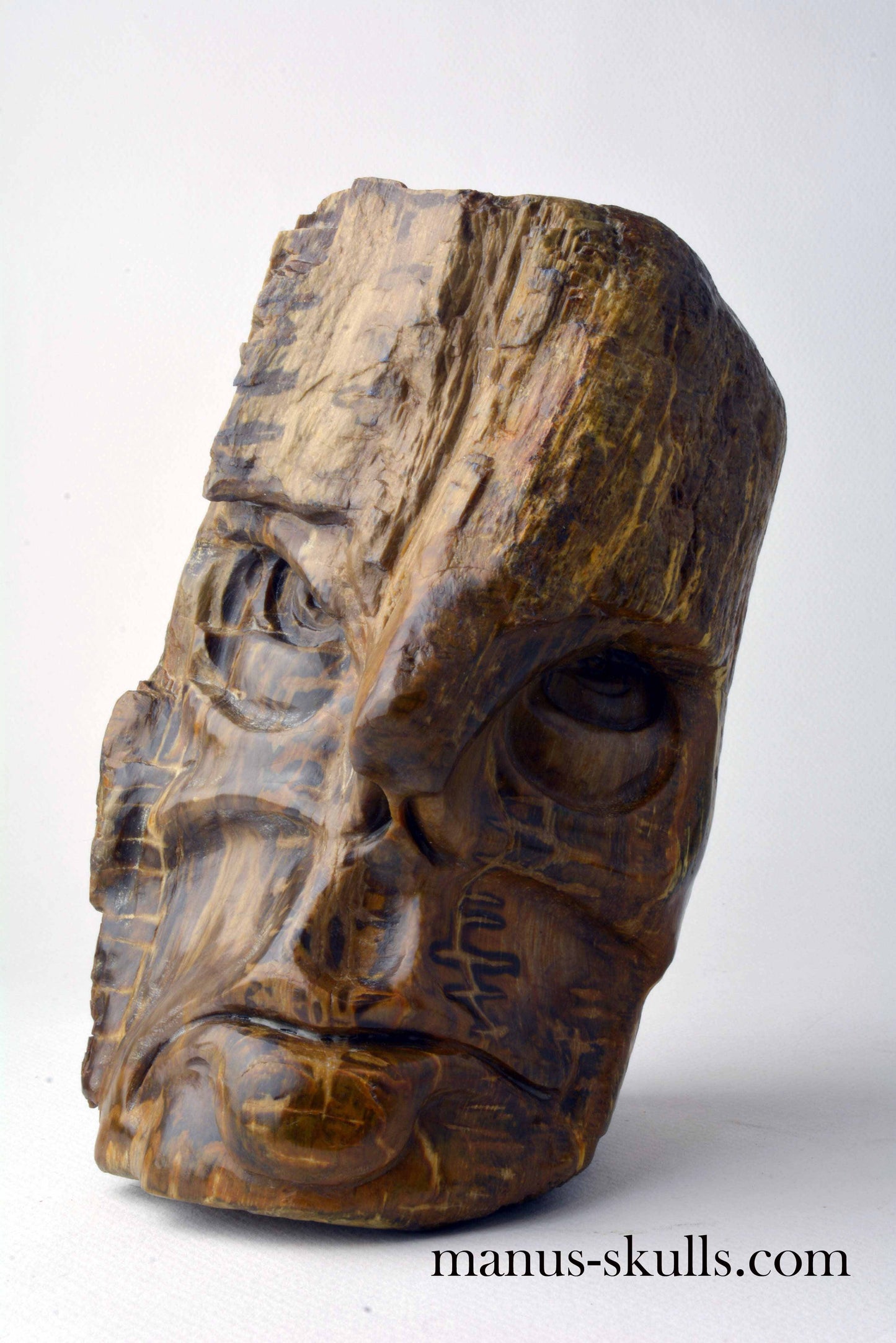 Petrified Wood Skull