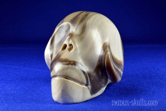Polish Flint Skull