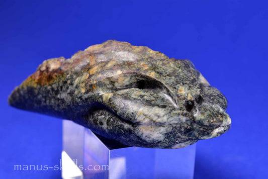 Preseli Bluestone Dragon