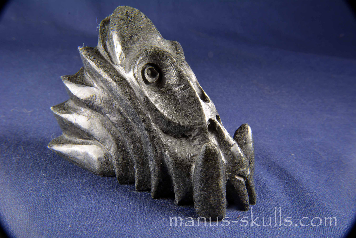 Unspotted Preseli Bluestone Dragon